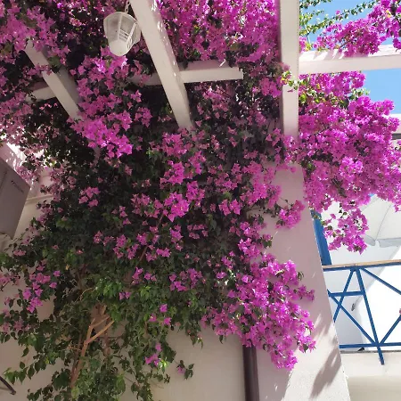 Sognando Vietri E Esclusiva Bed & Breakfast